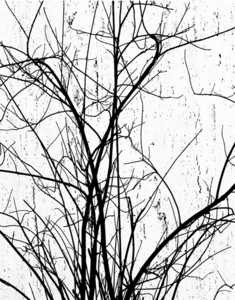 Jeff Brosbe Lines #12 Lines #12 by Jeffrey R Brosbe
