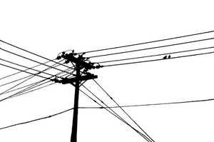 Urban Birds #4 by Jeffrey Brosbe Urban Birds #4 by Jeffrey R Brosbe