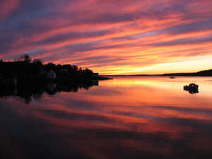 Morgan Janis Sailor's Delight Sailor's Delight by Morgan Janis