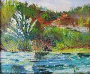 "Discovery Lake" by Judy Salinsky