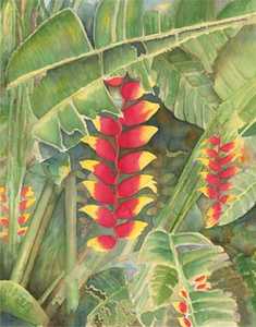 Heliconia Forest by Kathleen McGee
