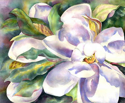 Magnolia by Kathleen McGee