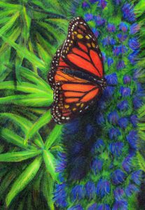 Monarch's Garden